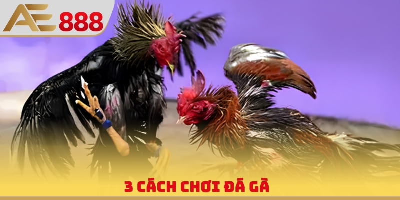 3 cách chơi đá gà