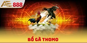 Bồ Gà Thomo