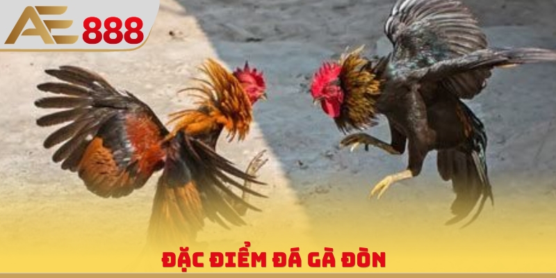 Đặc điểm đá gà đòn