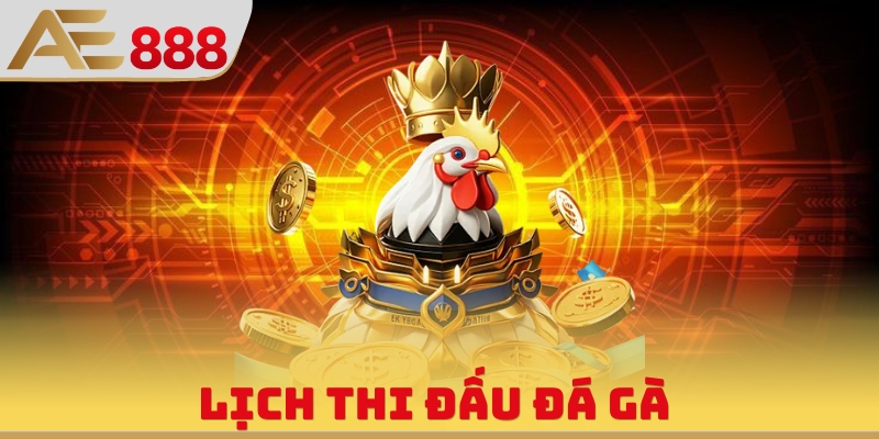 Lịch Thi Đấu Đá Gà