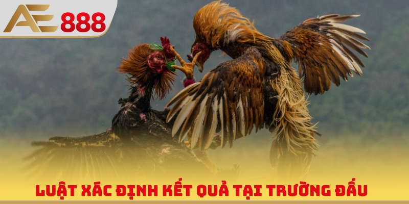 Luật xác định kết quả tại trường đấu