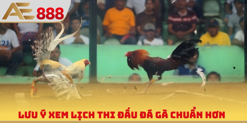 Lưu ý xem lịch thi đấu đá gà chuẩn hơn