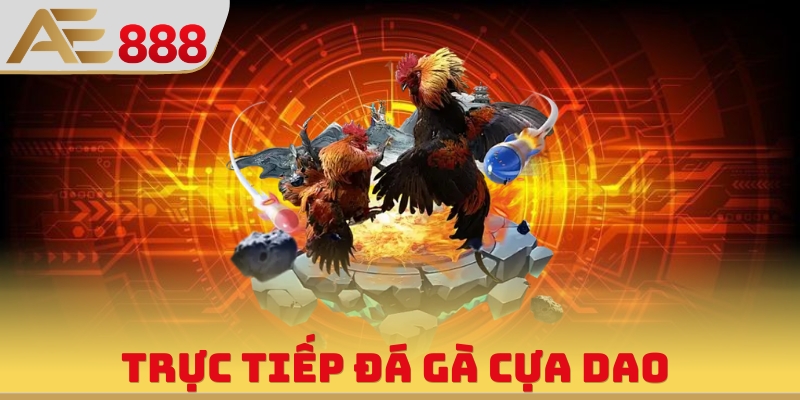 Trực Tiếp Đá Gà Cựa Dao